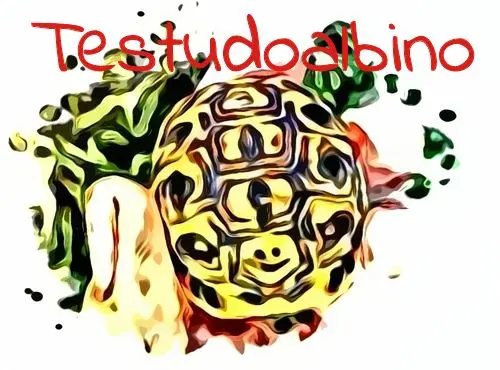 Logo Testudoalbino